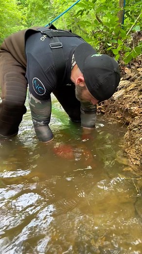49K views · 122 reactions | Finding Gold with a 3 Inch Gold Dredge #gold #goldprospecting #dredge #mining #goldmine #minerals #preciousmetal #outdoors #goldrush #prospecting #miningclaim #findinggold | X4Prospecting | Facebook