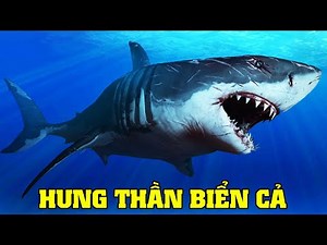 Cá Mập - Kẻ Thống Trị Đại Dương | Khám Phá Thế Giới Động Vật