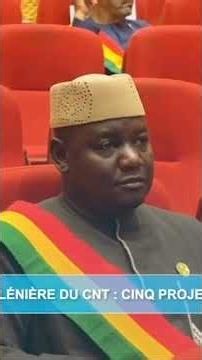CNT Plenary Session: Five bills adopted