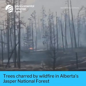 14K views · 81 reactions | An evacuation order was issued for the...