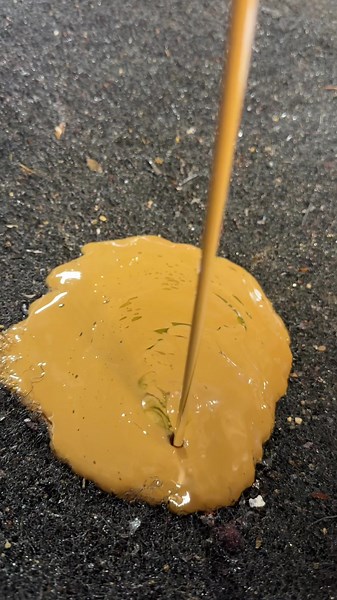 201K views · 1.5K reactions | Another Ford 3.5L Cyclone Engine Water Pump Bites the Dust! Ford Motor Company | Ford Tech Makuloco | Facebook