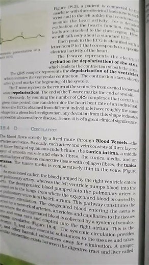 body Fluid and circulation