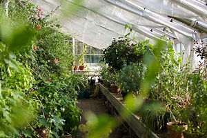 How To Build A High Tunnel Greenhouse And Extend Growing Season