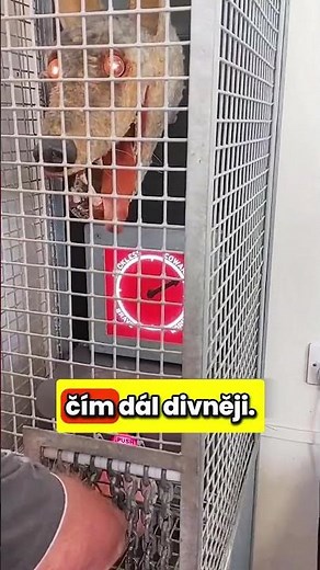 Jak MOC Jsi STATEČNÝ ?!💀😱