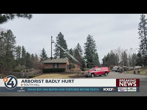 Arborist injured in chainsaw accident