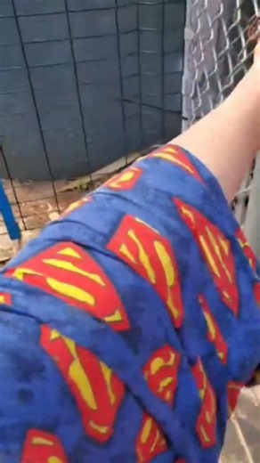 Silly girl🤣 Ezra loves to swing & will take it any way she can get it lol #heavenhelpusanimalrefuge #monkey #java #macaque #ezra #swinging #funny | Gena Walck