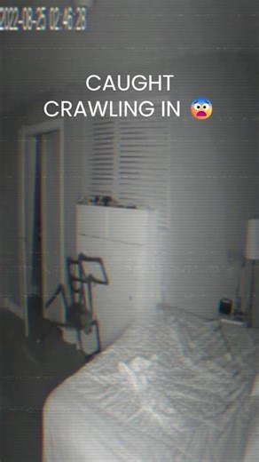 Real Footage — What Crawled In at Night?