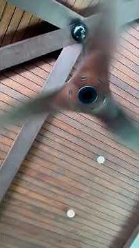 52" BAF Haiku H Series ceiling fans and Iwata Turbo Air cooler fans at a resort