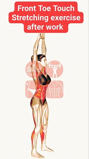 942K views · 4.3K reactions | Front Toe Touch Stretching exercise after work #toetouchexercise #stretchingexercises #athomeworkouts #noequipmentworkout | Explore Health Blog | Facebook