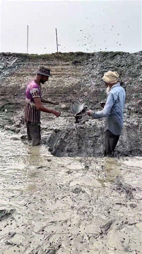 Amazing Fish Pond Mud Excavation Process | Modern Aquaculture Technology #shorts