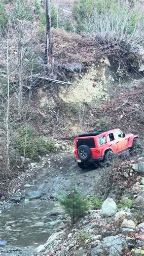 Off-Roading Jeeps Tackling the Trails