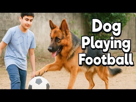 ⚽🐶 Dog Playing Football Like a Pro!! | Epic Funny Skills 😂🔥