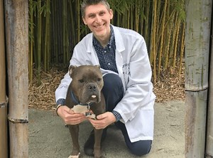 UF team leads clinical trial testing novel treatment of canine atopic dermatitis » Veterinary Research and Graduate Studies » College of Veterinary Medicine » University of Florida