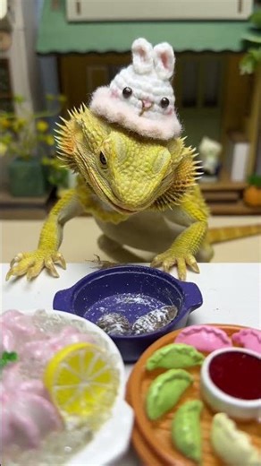 Lizard Eats Insects Close Up – Insane Moment! 🦎