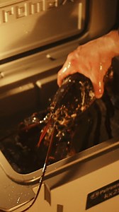 36K views · 279 reactions | Ad | Next Station: Lobster Heaven咽 #seafood #firekitchen #outdoorcooking #asmr #petromax | Fire Kitchen | Facebook