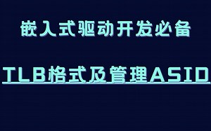 【嵌入式开发必备】剖析Linux内核源码TLB格式及管理ASID