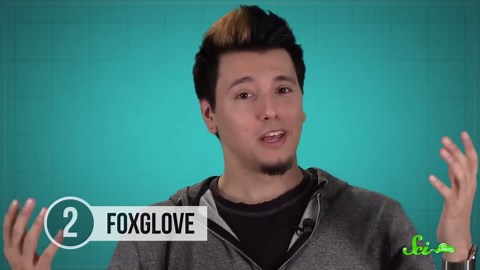 The top 10 deadliest plants (they can kill you!)