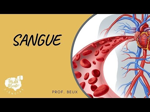 BLOOD - Elementary School