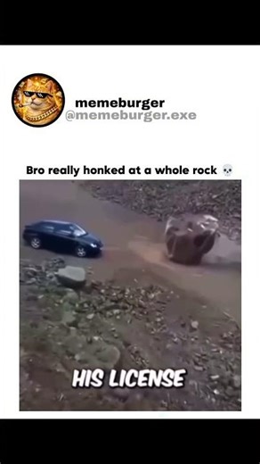 Bro really honked at a whole rock 💀#viralmemes#memes#dailymemes#fyp#funny#funnyshorts