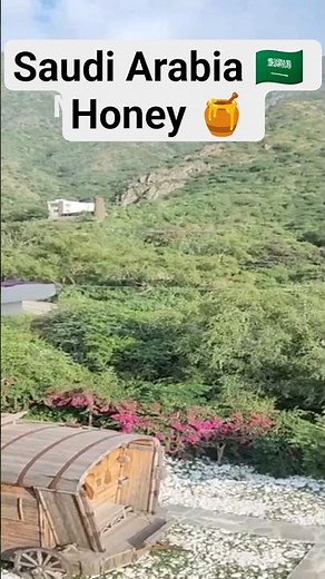 Walking Tour This Place in Saudi Arabia Is Made for Bees 🍯🇸🇦 #travel #shorts #saudiarabia