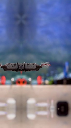 The Blood Red Wooly Worm. If you’re like me and you have a lot of fly tying materials, a great way to stay creative is take a step back from your fly tying bench and force yourself to use at least one material you haven’t used in a long time and then look in your discard basket for the remaining materials of a potentially new pattern. Materials: Hook: @orvis Nymph Hook (Size 10) Flash: Red Krystal Flash (not sure where it is from) Feather: Rooster Cape (Grizzly) Scissors: @Anadromous Fly Company