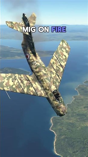 Two MiGs, One Lucky Shot, Zero Escape #il2korea #simulation