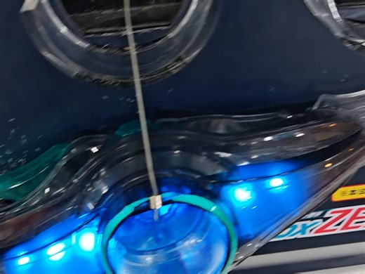 来看看玩具反斗城被摧残的试玩zzz腰带