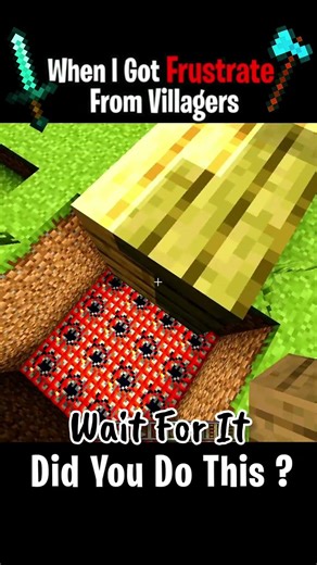 Glitch In Minecraft (Sigma Boy)