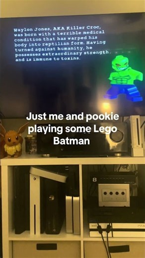 Me and pookie playing some Lego Batman