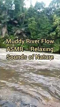 Muddy River Flow ASMR – Relaxing Sounds of Nature