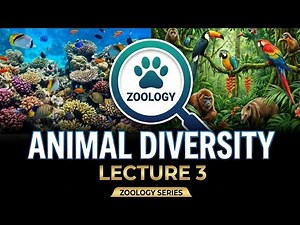 Zoology | Animal Diversity Lecture - 3 | Phylum Cnidaria | Polyp vs. Medusa | Structure, Life Cycles