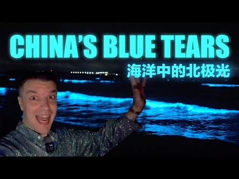 China's GLOW IN THE DARK Beaches 🇨🇳