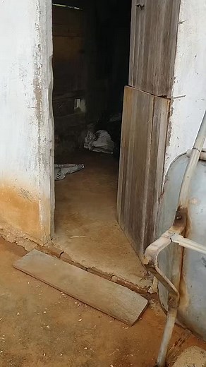 Exploring Rustic Farm Structures in Rural Settings