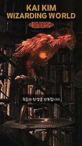 The story of the phoenix in Harry Potter