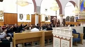 Shabbat Shalom! | The Revivo Project