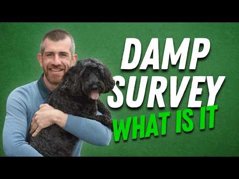 What Is a Damp Survey?