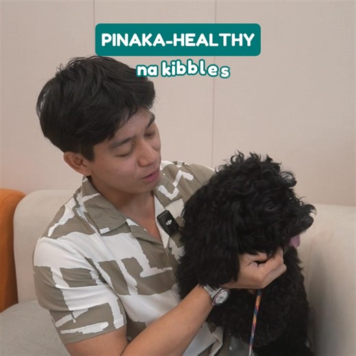 1.5K views · 1.9K reactions | No fillers, no lies—just real food.  Dr. Shiba's Kind Kibble = the best for your furry friend! ❤️  Dr. Shiba’s Kind Kibble provides 56% protein from real beef plus nutrient-packed superfoods. Shop now and experience the difference! | Dr Shiba | Facebook