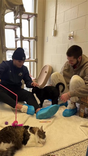 13K views · 142 reactions | Wolves at the Ontario SPCA Sudbury &...