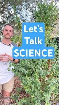 The SCIENCE 🧬 of Food Forests #science #gardening #garden
