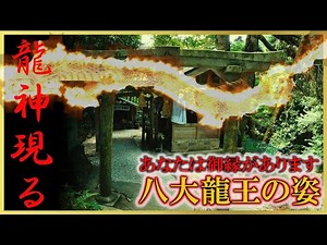 ⚠️宇宙最強龍神※あなたは八大龍王様との御縁があります。龍神様の恩恵で次々と奇跡が起こり始めます。もし逃したら二度とありません｜神龍八大龍王神社遠隔参拝255