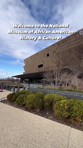 9.5K views · 113 reactions | African American history and culture are...