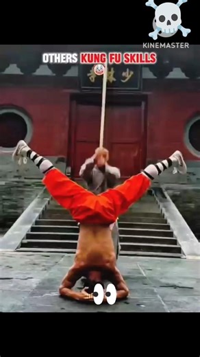 Normal Kung Fu Skill Vs The Ultimate Boss☠️