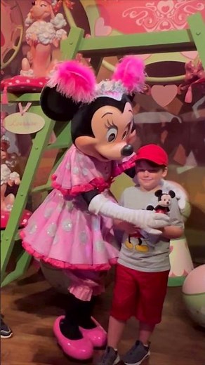 Meeting Minnie & Mickey Mouse Meet & Greet in The Magic Kingdom at Disney World