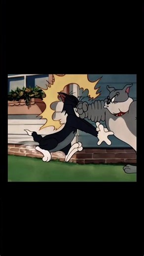POV: Tom & Jerry’s Funniest Moments Ever
