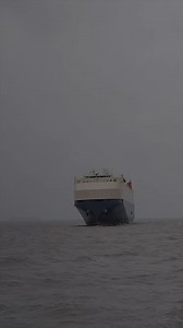 326K views · 9.1K reactions | #shortvideo #shots | Fact world | Facebook