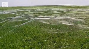 13K views · 123 reactions | Is the purple planet, mysterious whirlpool, or creepy fog that has people saying, "This footage is unlike anything I’ve ever seen before!” Find out on another strange episode of Weird Earth tonight at 8/7c. | The Weather Channel | Facebook