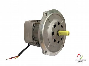 [Hot Item] Durable Electric Motor Compatible with Riello Burner Models