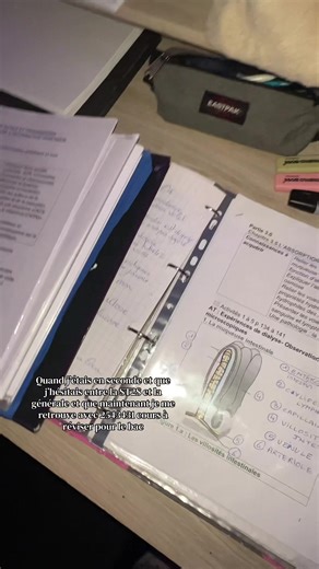 Choosing ST2S: My Journey and Challenges for the Bac