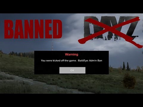 How to get BANNED from a DayZ server (A talk about the DayZ Community)