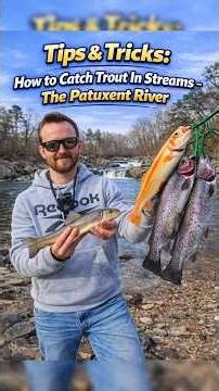 Incredible Day #trout fishing the Little Patuxent #River w/tutorial. #fishing #berkley #goldentrout